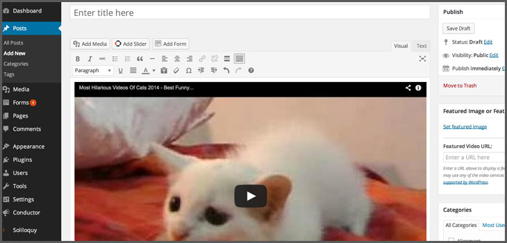 preview-videos-in-wordpress-4-0